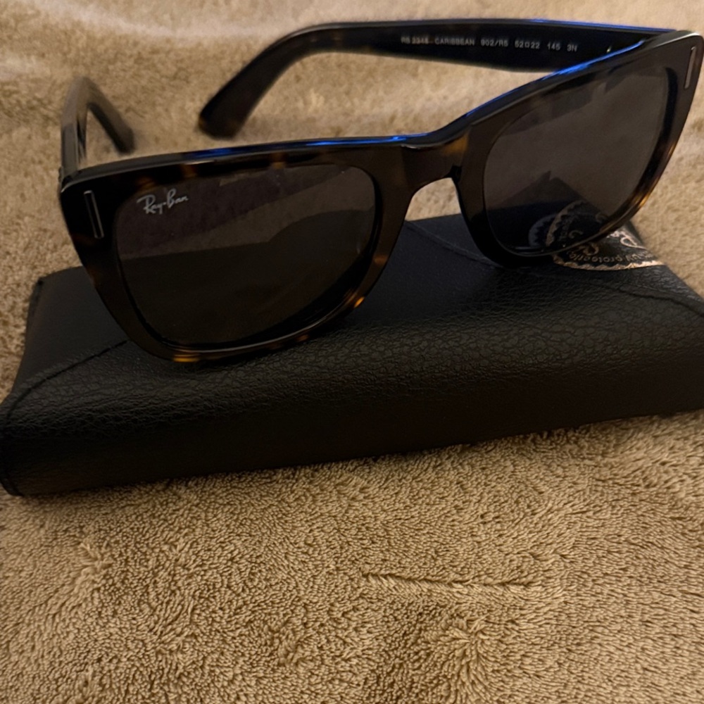 Ray-Ban Classic Brown Sunglasses